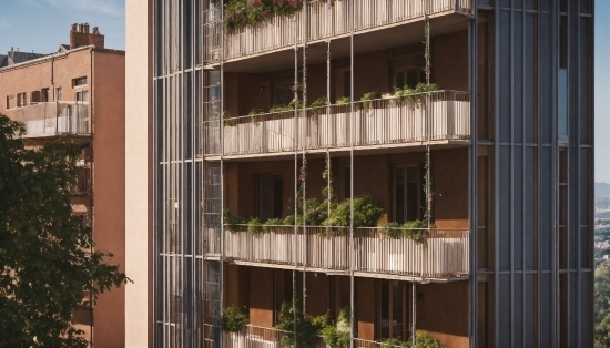 Adobe Video Software, Plant, Property, Building, Window, Tower Block