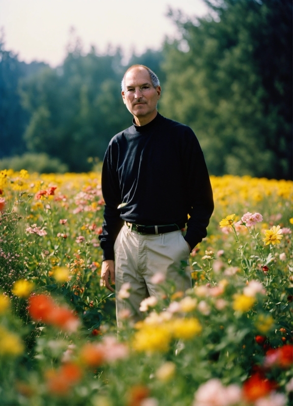 Can Stock Video, Field, Meadow, Grass, Summer, Spring