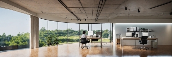 Capcut Editing, Building, Plant, Table, Chair, Shade