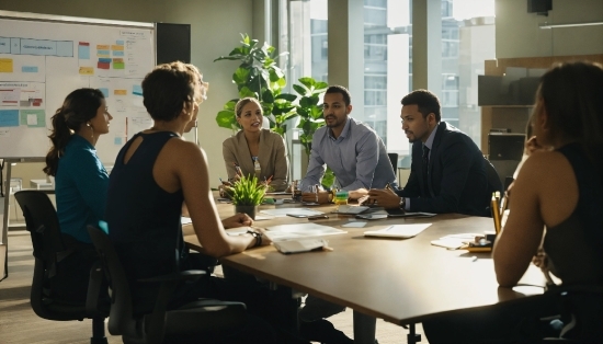 Chroma Key Stock Footage, Table, Plant, Chair, Interior Design, Organism