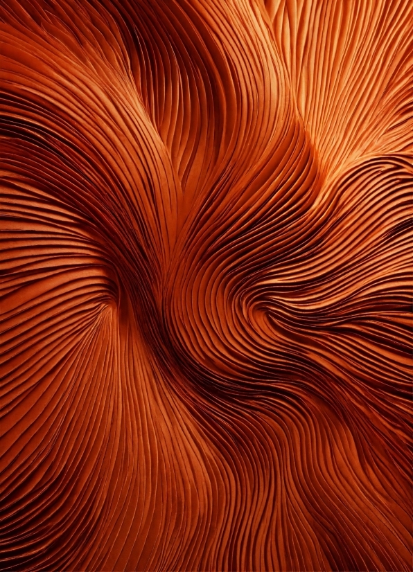 Copyright Free Videos For Youtube Free Download, Brown, Wood, Orange, Natural Material, Art