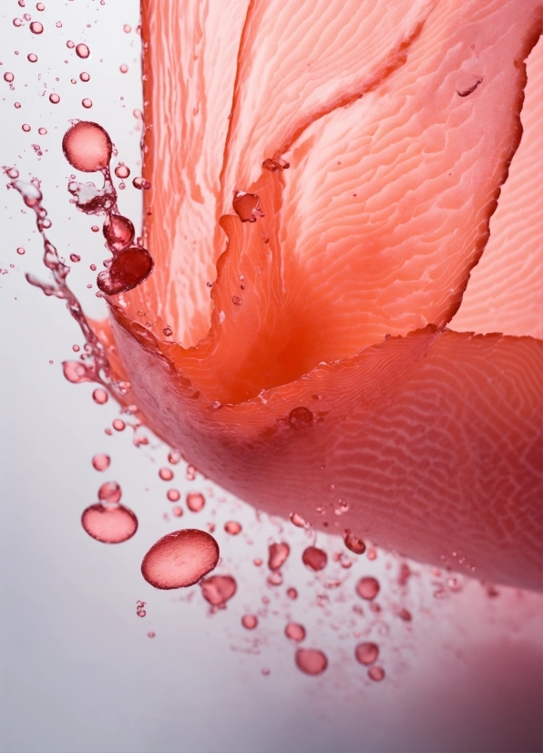 Free Stock Footage Archive, Water, Liquid, Fluid, Petal, Orange