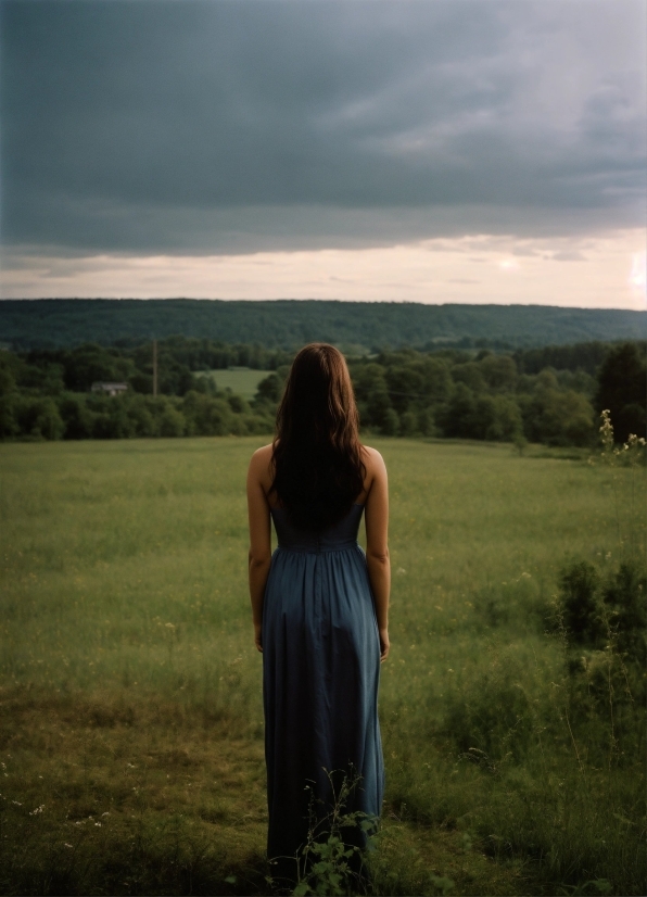 Free Stock Footage Christmas, Cloak, Covering, Field, Sky, Grass