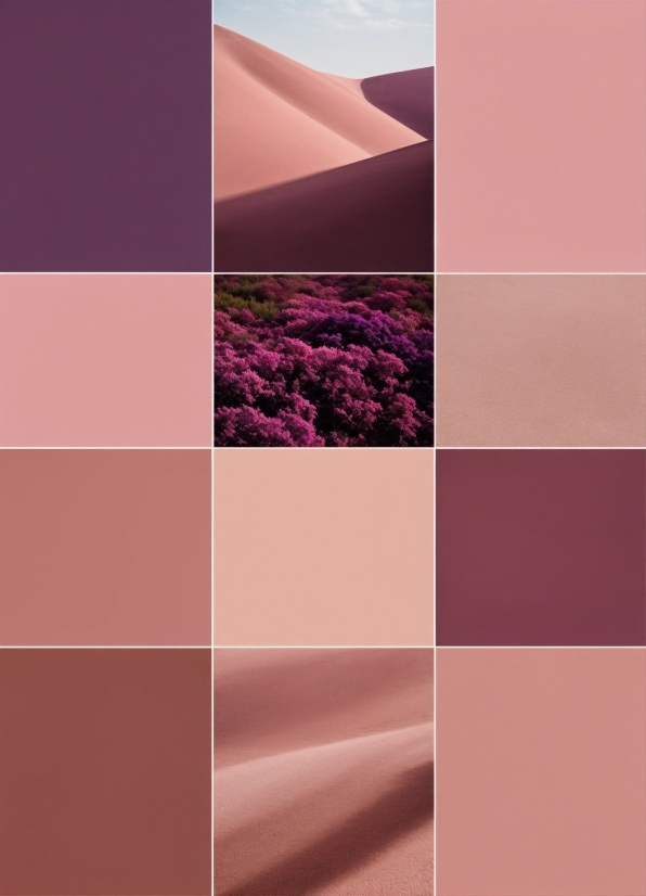 Free Stock Video Websites, Purple, Plant, Rectangle, Violet, Pink