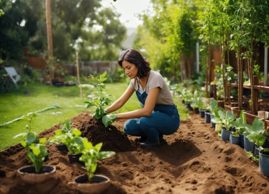 Free Video Stock Footage 4k, Seedling, Person, Garden, Outdoors, Plant