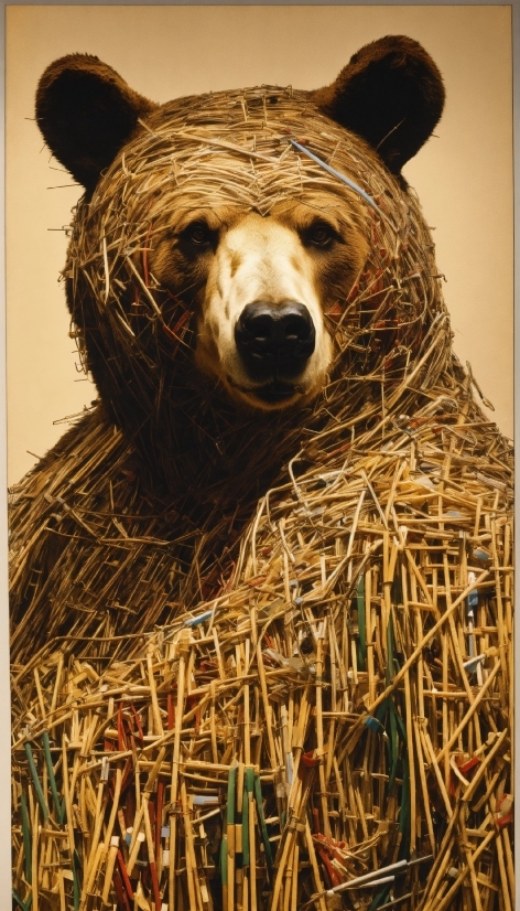 Lion Stock Footage, Hay, Water Spaniel, Spaniel, Standard Poodle, Straw