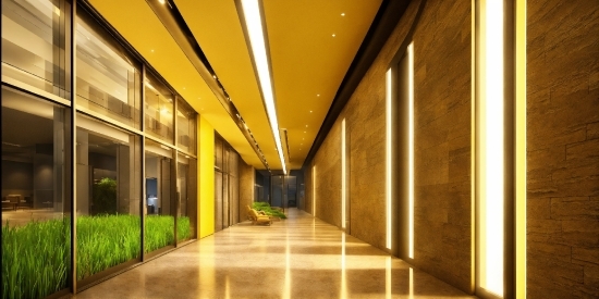 Plant, Fixture, Floor, Hall, Flooring, Building