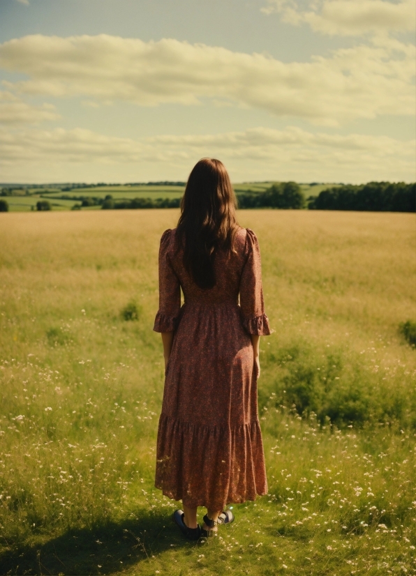 Snow Stock Footage, Cloak, Covering, Field, Grass, Meadow