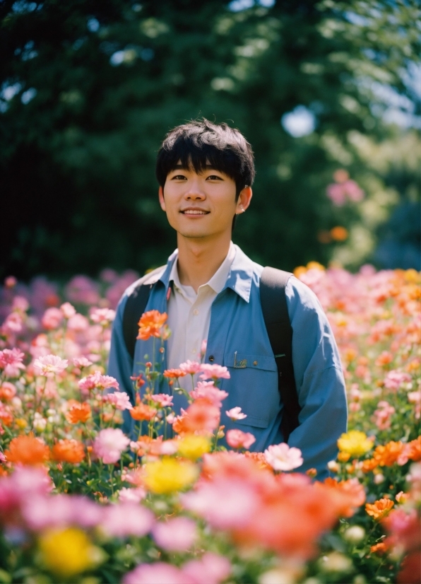 Stock Footage Photos, Bouquet, Groom, Smiling, People, Happy