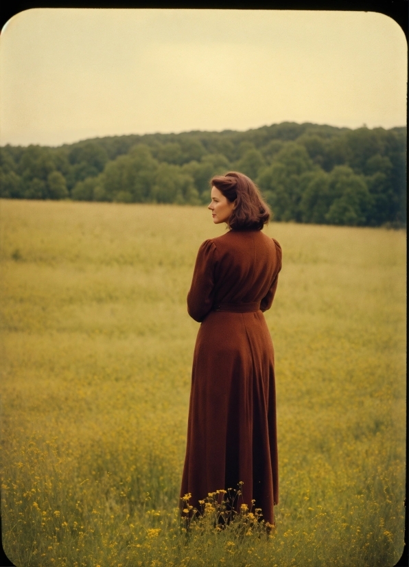 Video On Background, Cloak, Covering, Field, Grass, Meadow