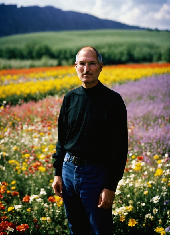 White Dove Flying Green Screen, Farmer, Person, Field, Mustard, Meadow