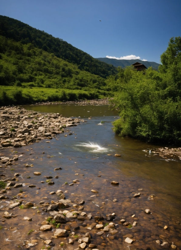 Adobe Free Stock Footage, Water, Sky, Water Resources, Plant, Mountain