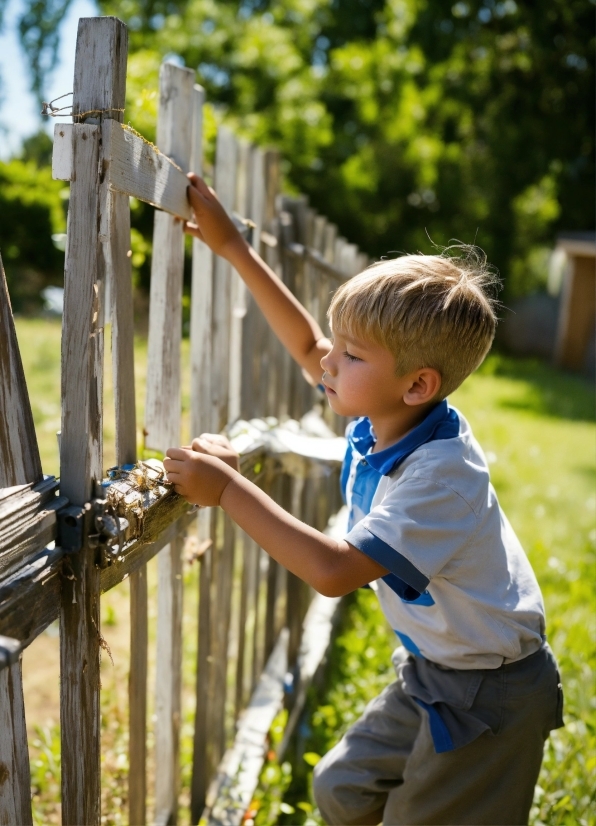 Ai Music Maker Online, Daytime, Plant, Tree, People In Nature, Fence