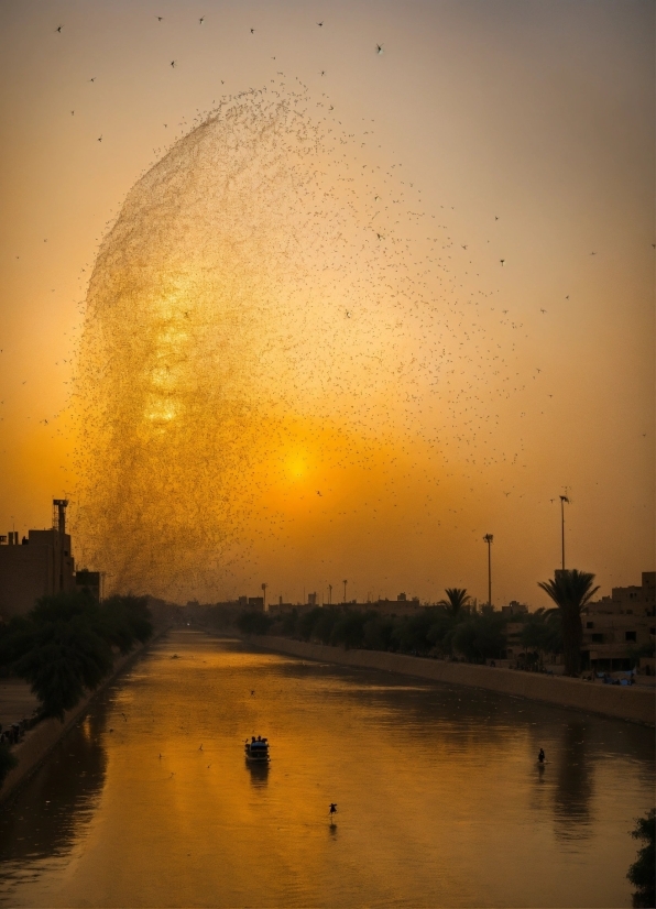 Ai Photo Anime, Water, Sky, Atmosphere, Vertebrate, Nature