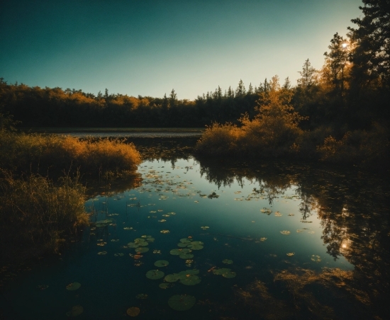 Ai Shoujo Video, Water, Sky, Cloud, Plant, Water Resources