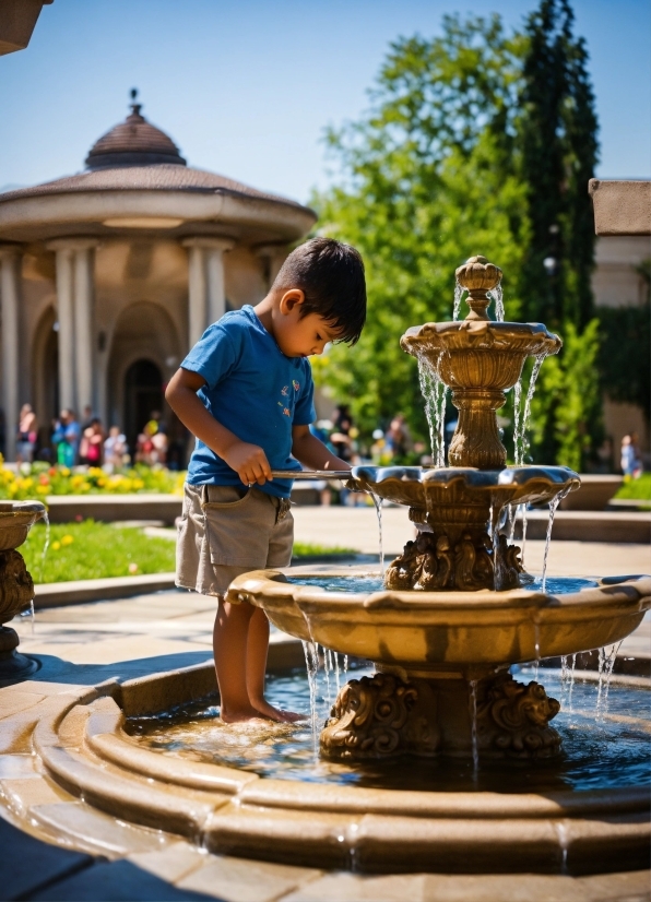 Background Video Free Download, Water, Sky, Shorts, Fountain, Plant