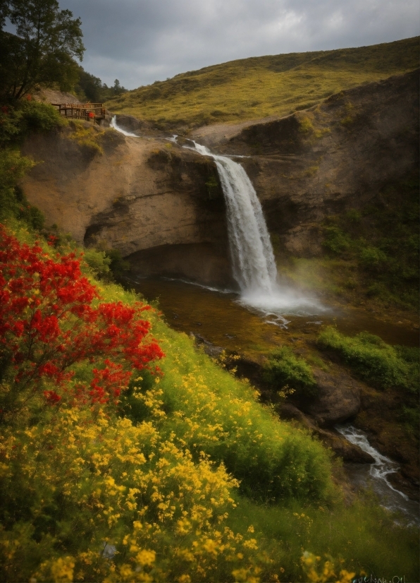 Best Free Stock Footage Reddit, Flower, Plant, Sky, Water, Ecoregion