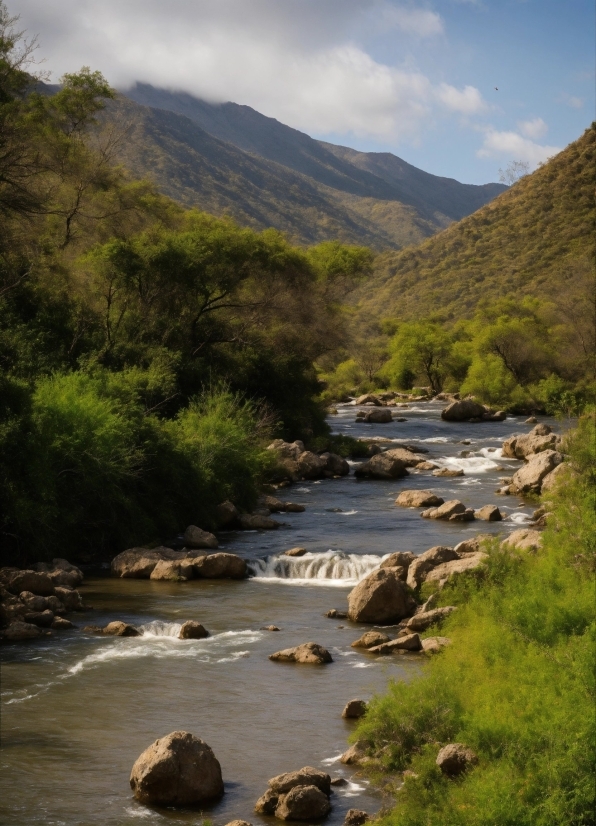 Blue Effect Template Video Download, Water, Sky, Cloud, Plant, Water Resources