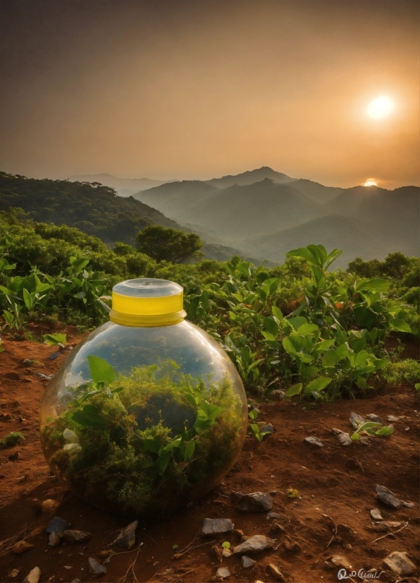 Bot Image Generator, Plant, Sky, Water, Mountain, Cloud