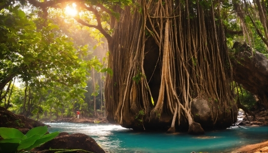 Breaking News Green Screen Video, Water, Plant, Nature, Branch, Tree