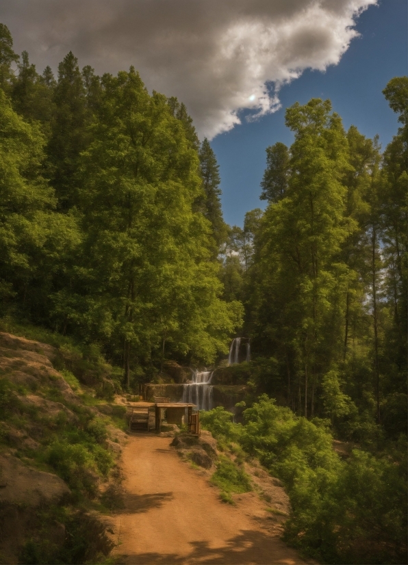 Classroom Background Video Free Download, Cloud, Plant, Sky, Natural Landscape, Wood