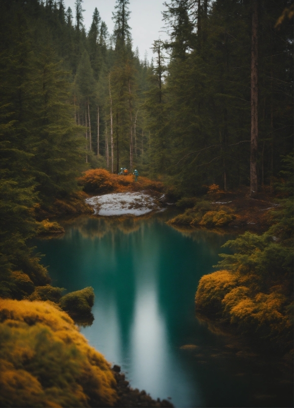 Clock Ticking Stock Footage, Water, Sky, Plant, Water Resources, Natural Landscape