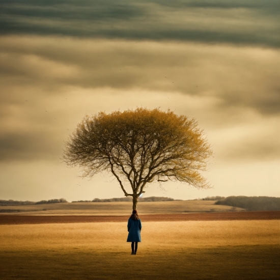 Cloud, Sky, Plant, Atmosphere, Ecoregion, People In Nature