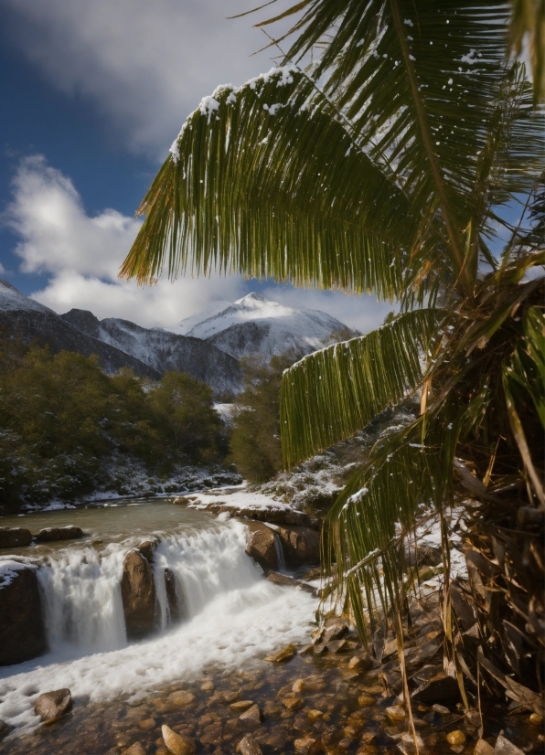 Cloud, Water, Sky, Water Resources, Plant, Nature