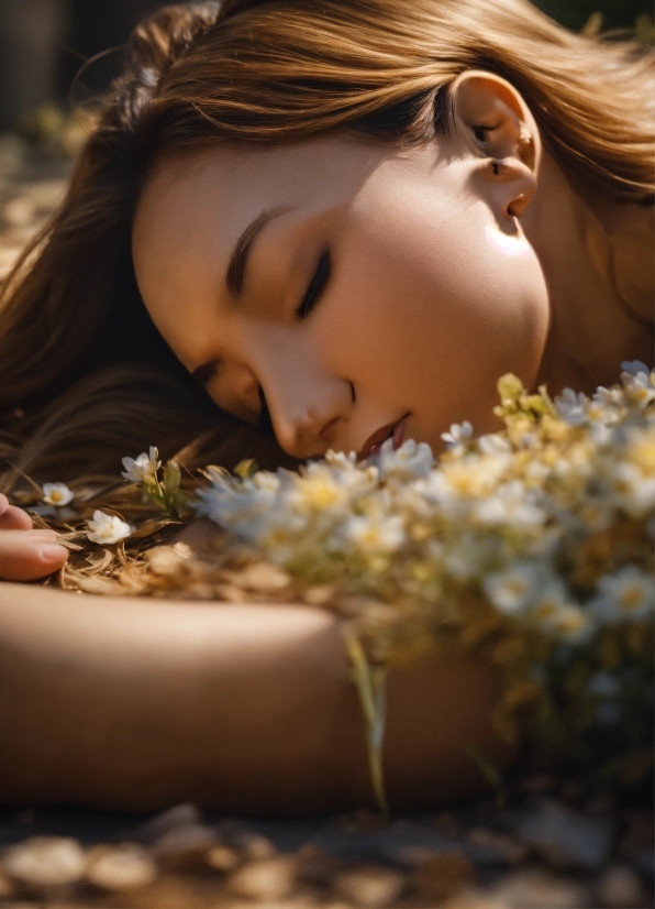 Daily Desktop Wallpaper, Hair, Head, Flower, Lip, Eye