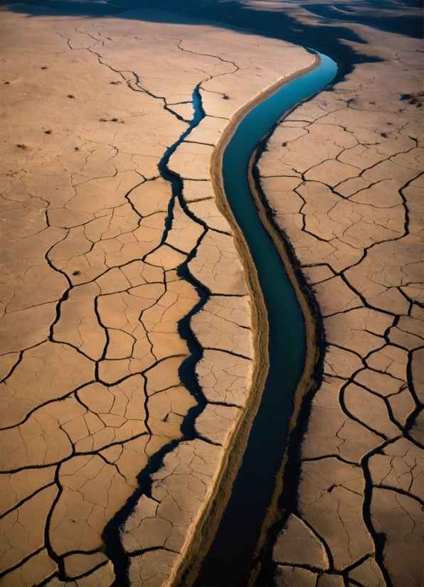 Dalle Upload Image, Water Resources, Water, Road Surface, Natural Environment, Wood