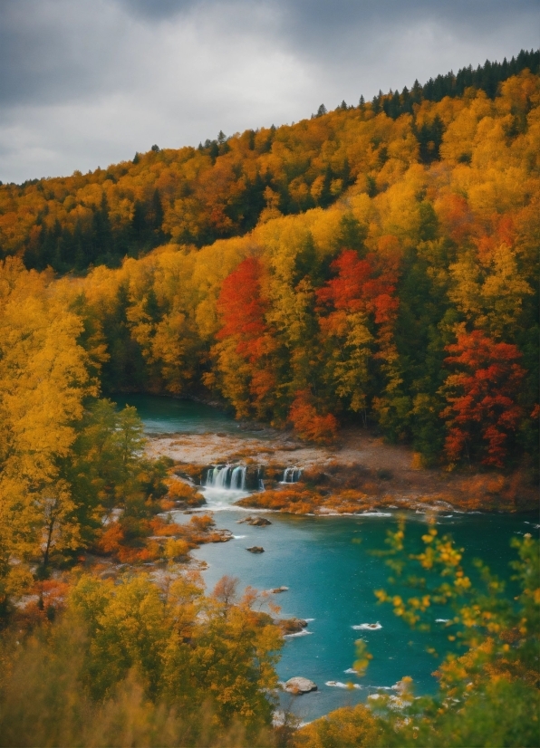 Download Istock Photos For Free, Water, Plant, Cloud, Sky, Ecoregion