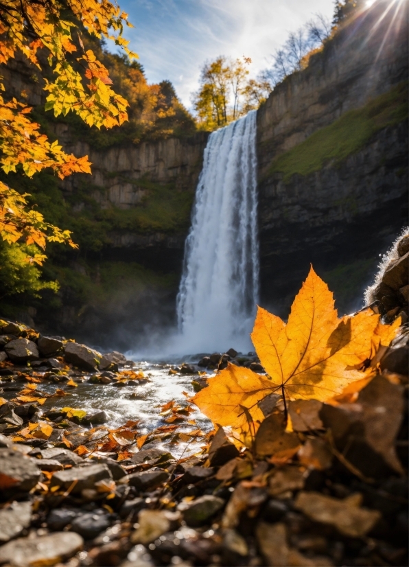 Download Video Background Easyworship, Sky, Water, Natural Landscape, Leaf, Cloud