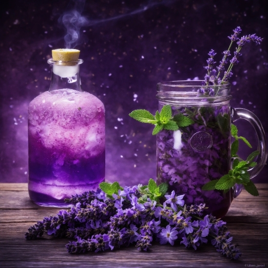 Drinkware, Liquid, Plant, Water, Flower, Purple