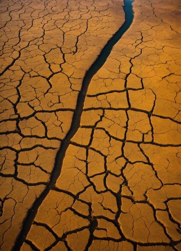 Ecoregion, Dry Lake, Light, Natural Environment, Road Surface, Drought