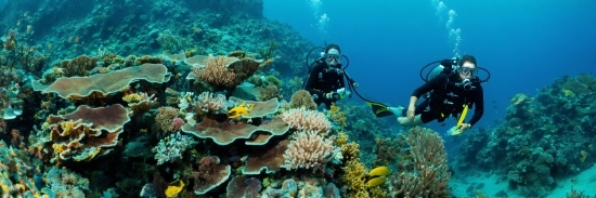 Eiffel Tower Png, Water, Green, Underwater Diving, Diving Equipment, Natural Environment