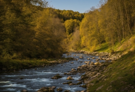 Fire Green Screen Video Free Download, Water, Sky, Plant, Fluvial Landforms Of Streams, Tree