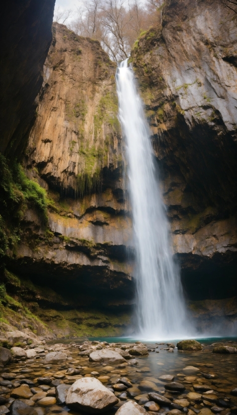 Free Adobe Stock Footage, Water, Water Resources, Plant, Nature, Natural Landscape