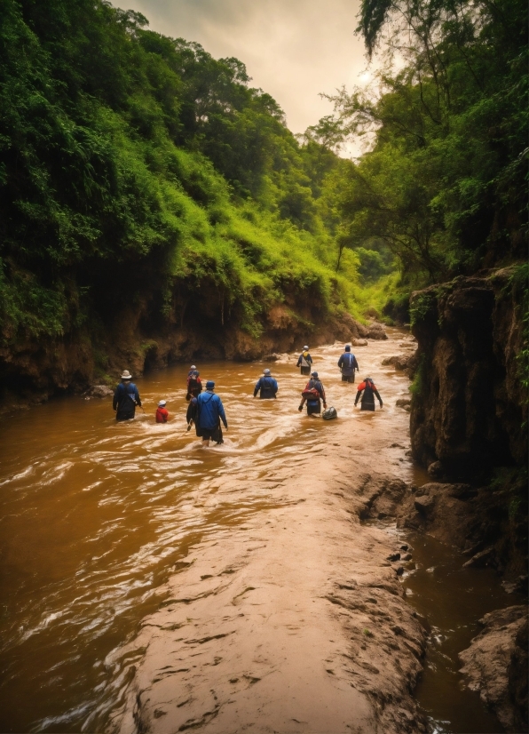 Free Ai Video Upscale, Water, Sky, Fluvial Landforms Of Streams, Tree, Travel