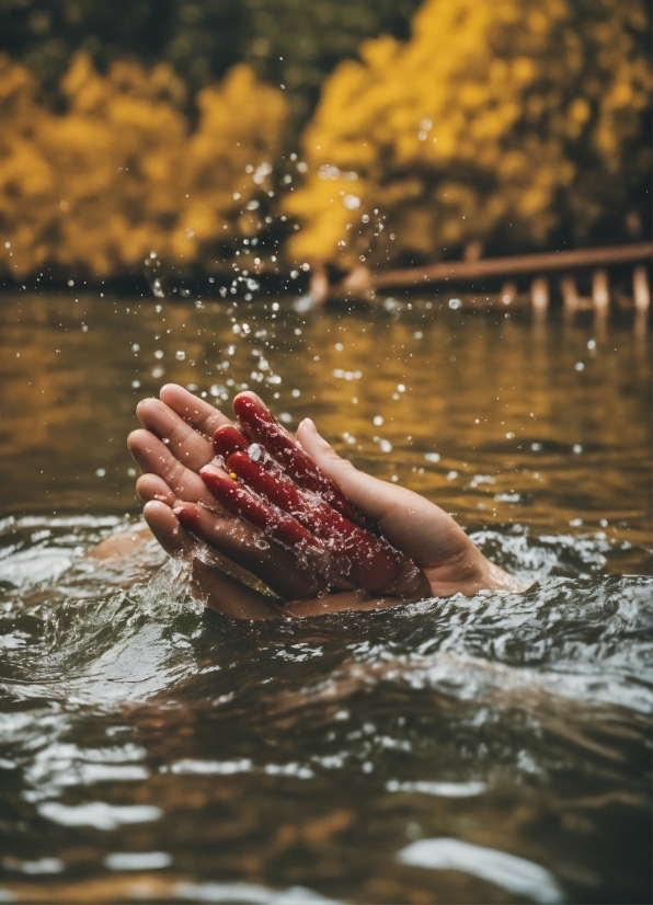 Free Background Template Video, Water, Leg, People In Nature, Human Body, Dress