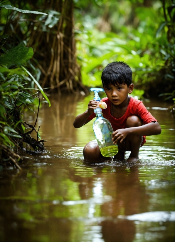 Free Drone Footage Download, Water, Bottle, Vertebrate, People In Nature, Plant