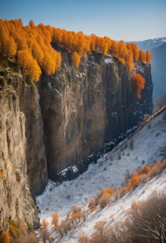 Free Live Background Video, Sky, Plant, Mountain, Natural Landscape, Larch