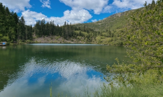 Free To Use Drone Footage, Water, Sky, Cloud, Plant, Tree