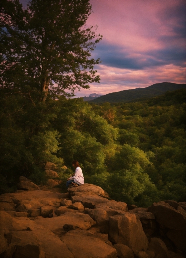 Golden Background Video Effects Hd, Cloud, Sky, Natural Landscape, Mountain, Wood