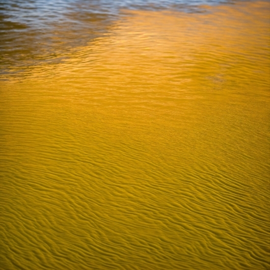 Google Imagen Use, Water, Orange, Natural Landscape, Wood, Sunlight