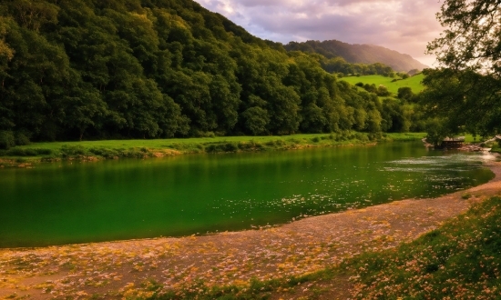 Google Music Ai, Water, Cloud, Sky, Plant, Mountain