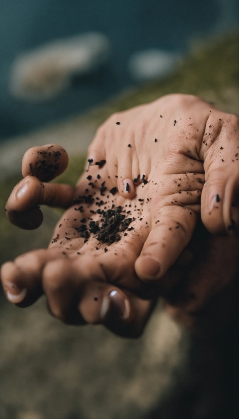 Hand, Plant, Tree, Gesture, Finger, Nail