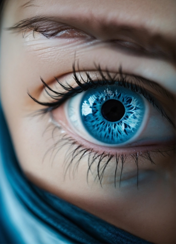 Historical Stock Footage, Head, Eyebrow, Eye, Eyelash, Azure