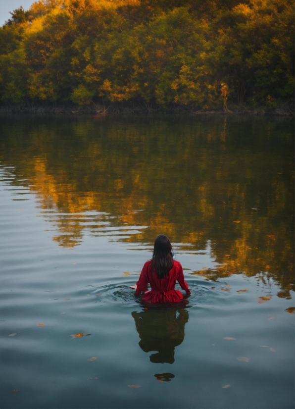 Istock Images Free Download, Water, Plant, Sky, Leaf, Boats And Boating-equipment And Supplies