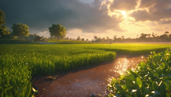 Leawo Photo Enlarger, Cloud, Sky, Plant, Water, Ecoregion