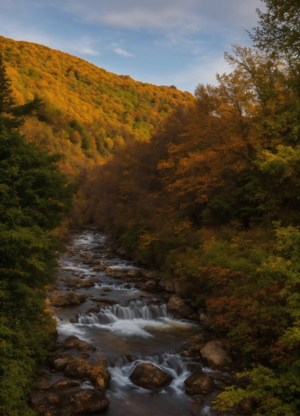 Long Free Stock Videos, Cloud, Water, Sky, Plant, Natural Landscape